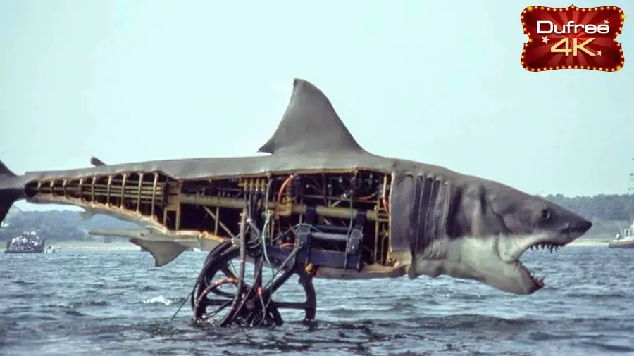 รีวิวหนัง JAWS (1975) - จอว์ส ภาพยนตร์เก่ายอดฮิตที่เกี่ยวกับฉลามกินคน